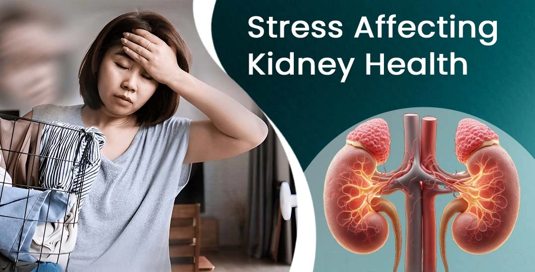 How Stress Affects Kidney Health